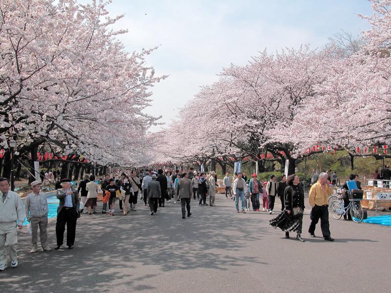 Mervielle Ueno Tokio Exterior foto
